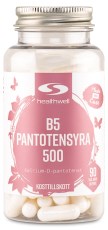 Healthwell B5 Pantoteenihappo 500
