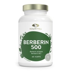 Healthwell Berberiini 500