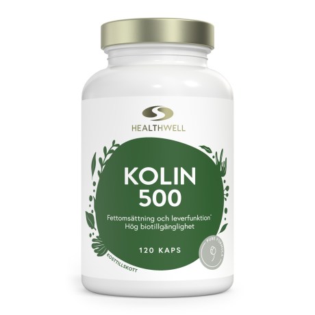 Pienoiskuva Healthwell Koliini 500, 120 kapselia