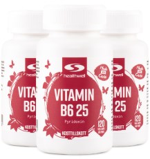 Healthwell B6 Vitamiini 25