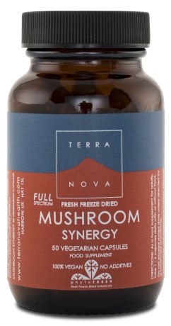 Terranova Mushroom Synergy, Terveys & Hyvinvointi - Terranova