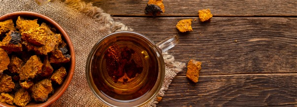 Suosittu chaga - todellinen luonnon oma ravintotujaus!