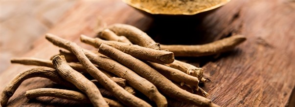 Kaikki mitä haluat tietää ashwagandhasta