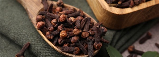 Kaikki monipuolisesta mausteneilikasta