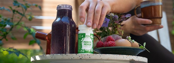 Maitohappobakteerit x Vera