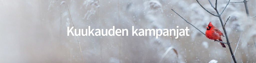 Kuukauden kampanjat