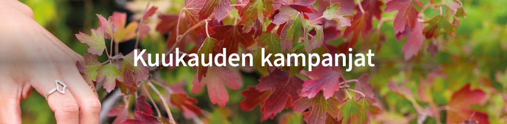 Kuukauden kampanjat