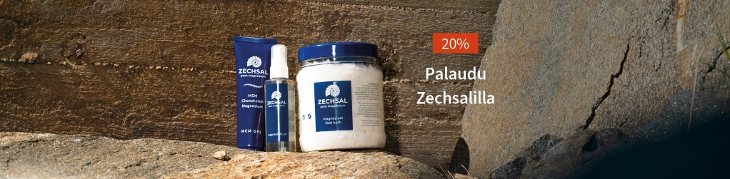 Zechsal 20%